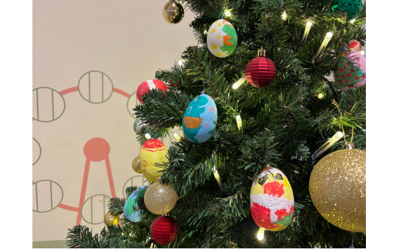 【12/25(木)まで】クリスマスツリー展示中